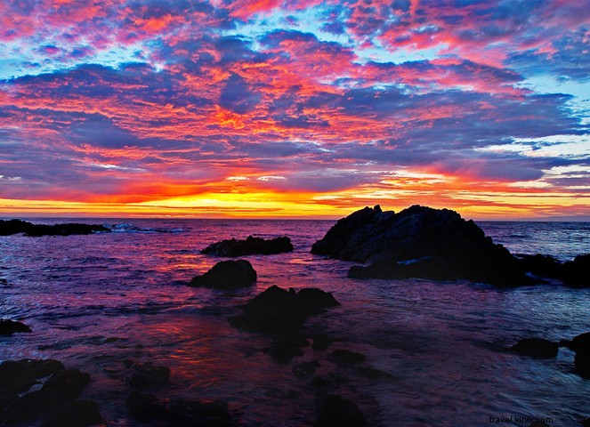 La costa con più:12 momenti della contea di Monterey che vale la pena fare un viaggio 